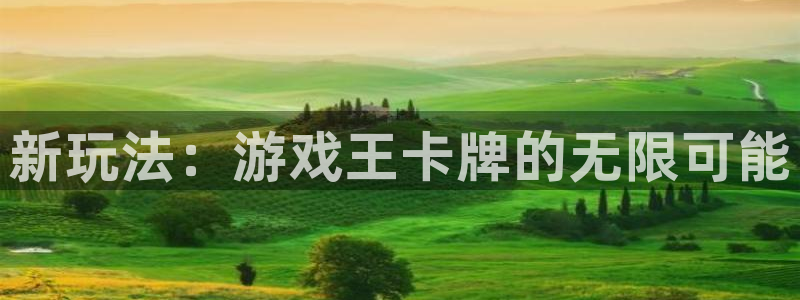 新玩法：游戏王卡牌的无限可能