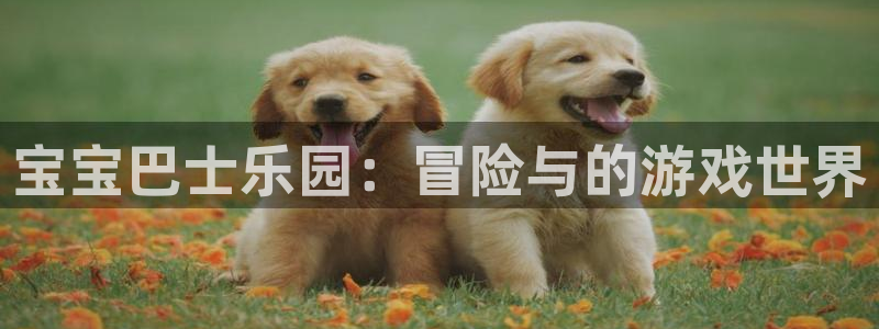 宝宝巴士乐园：冒险与的游戏世界