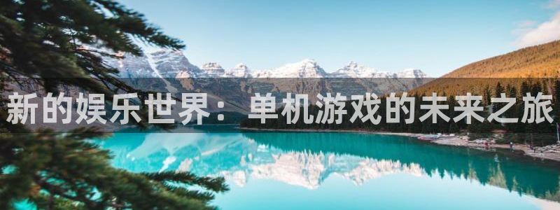 新的娱乐世界：单机游戏的未来之旅