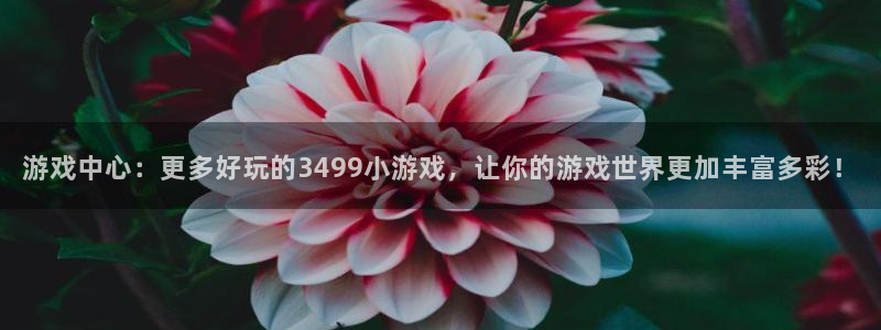 游戏中心：更多好玩的3499小游戏，让你的游戏世界更加丰富多