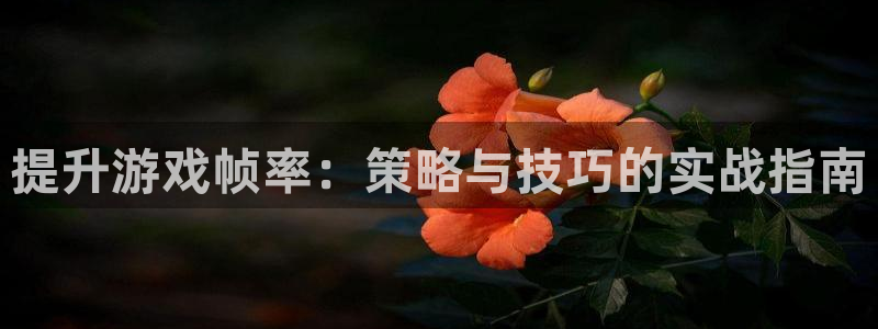 凯发k8真人版