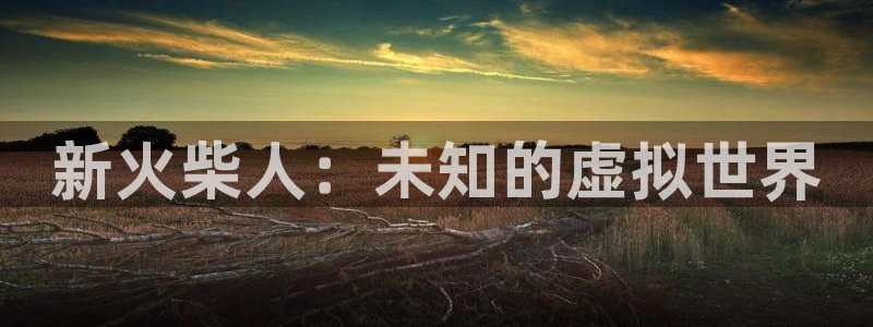 k8凯发手机app下载：新火柴人：未知的虚拟世界