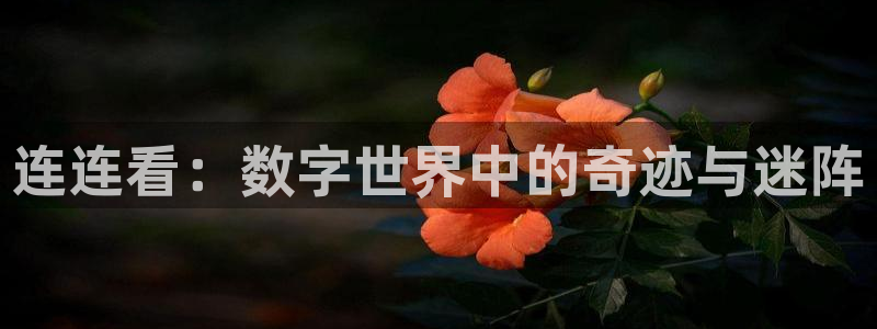 k8凯发天生赢家一