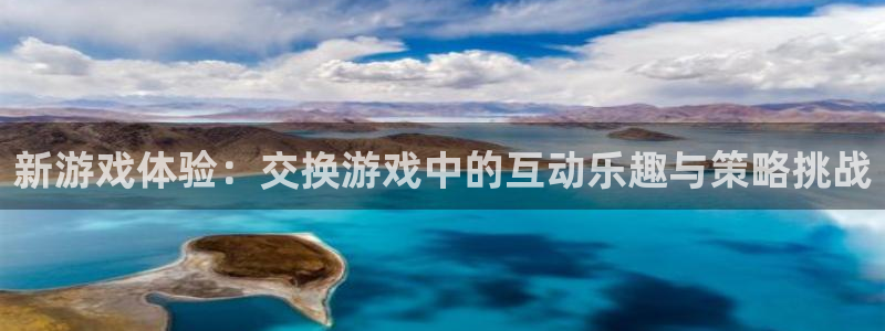 凯发k8旗舰厅app：新游戏体验：交换游戏中的互动乐趣与策略